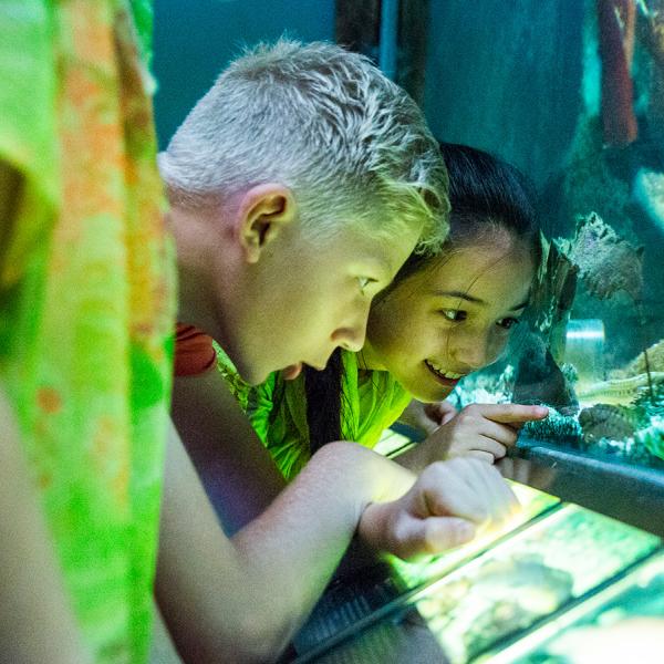 Erfahre außerdem mehr über das Klima. Erkunde zum Beispiel das Wassermilieu, eine der vielen spannenden interaktiven Ausstellungen für Familien mit Kindern im Økolariet. Im LEGOLAND® Billund Resort erwarten euch Topattraktionen für Kinder und deren Eltern. Verbringt einen aktiven Familienurlaub.