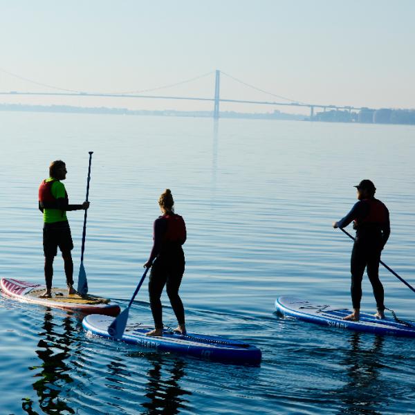 Adventure -SUP - Fredericia Lillebaelt