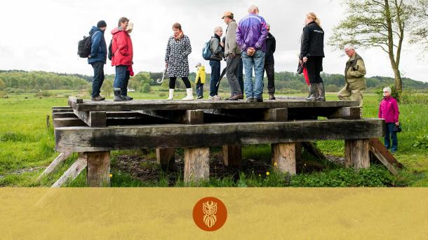 Eine Gruppe von Menschen versucht, auf der Rekonstruktion der Ravningen-Brücke zu stehen, die auf Ravning Enge gebaut wurde. 