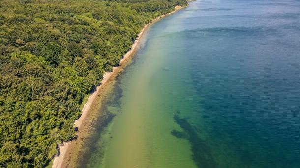 Ontdek het Staksrode Skov en Stenhoj Strand in Zuidoost Jutland in Denemarken