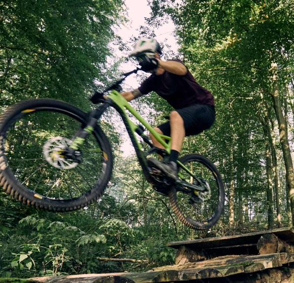 MTB Spor i området ved Kolding