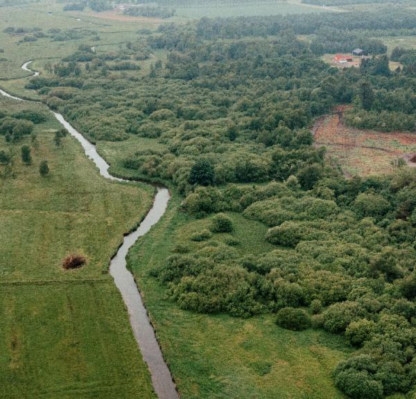 Natur i Billund- Å-DestinationTrekantomraadet
