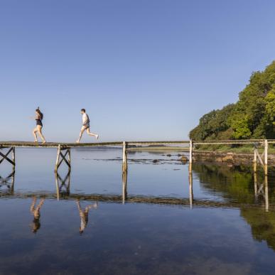 Ontdek het Horsens Fjord in Denemarken, met de fjordmino wandelroute bijvoorbeeld
