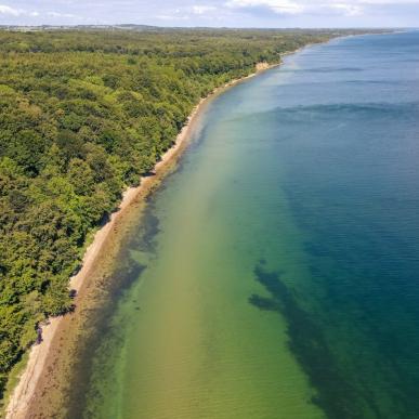 Ontdek het Staksrode Skov en Stenhoj Strand in Zuidoost Jutland in Denemarken