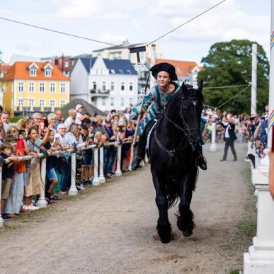 Ringsteken in Sønderjylland, Zuid-Jutland, Denemarken