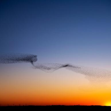 Sort Sol fenomeen in Nationaal Park de Waddenzee in Zuid Jutland, Denemarken
